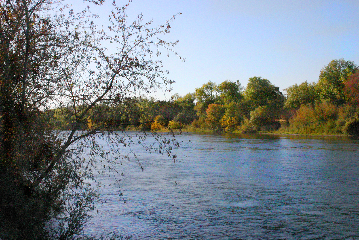 American River Parkway in the morning