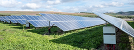 Solar panels in a field